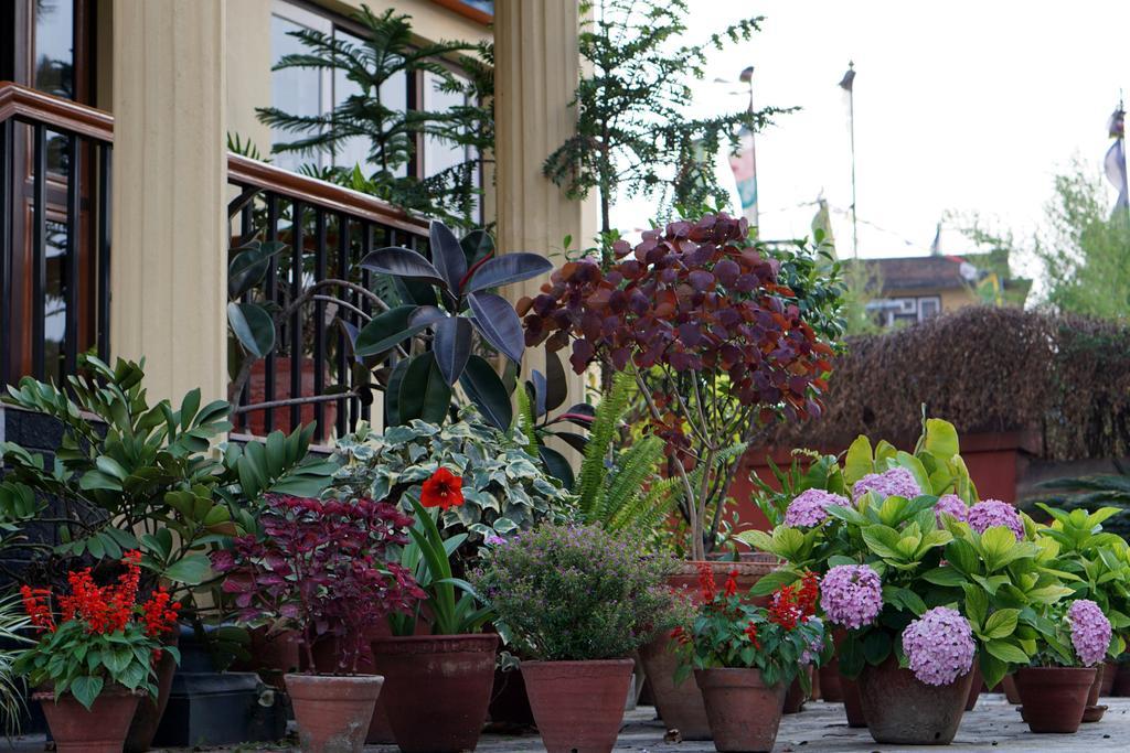 Swayambhu View Guest House Kathmandu Buitenkant foto